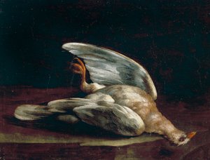 Paloma torcaz de Bartolomeo Bimbi